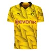 Original Fußballtrikot Borussia Dortmund Cup 2023-24 Für Herren